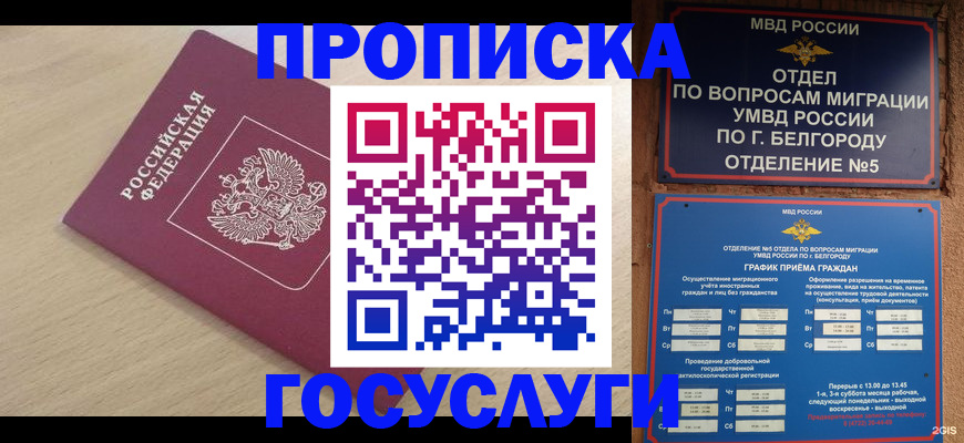 прописка законно в Амурской области